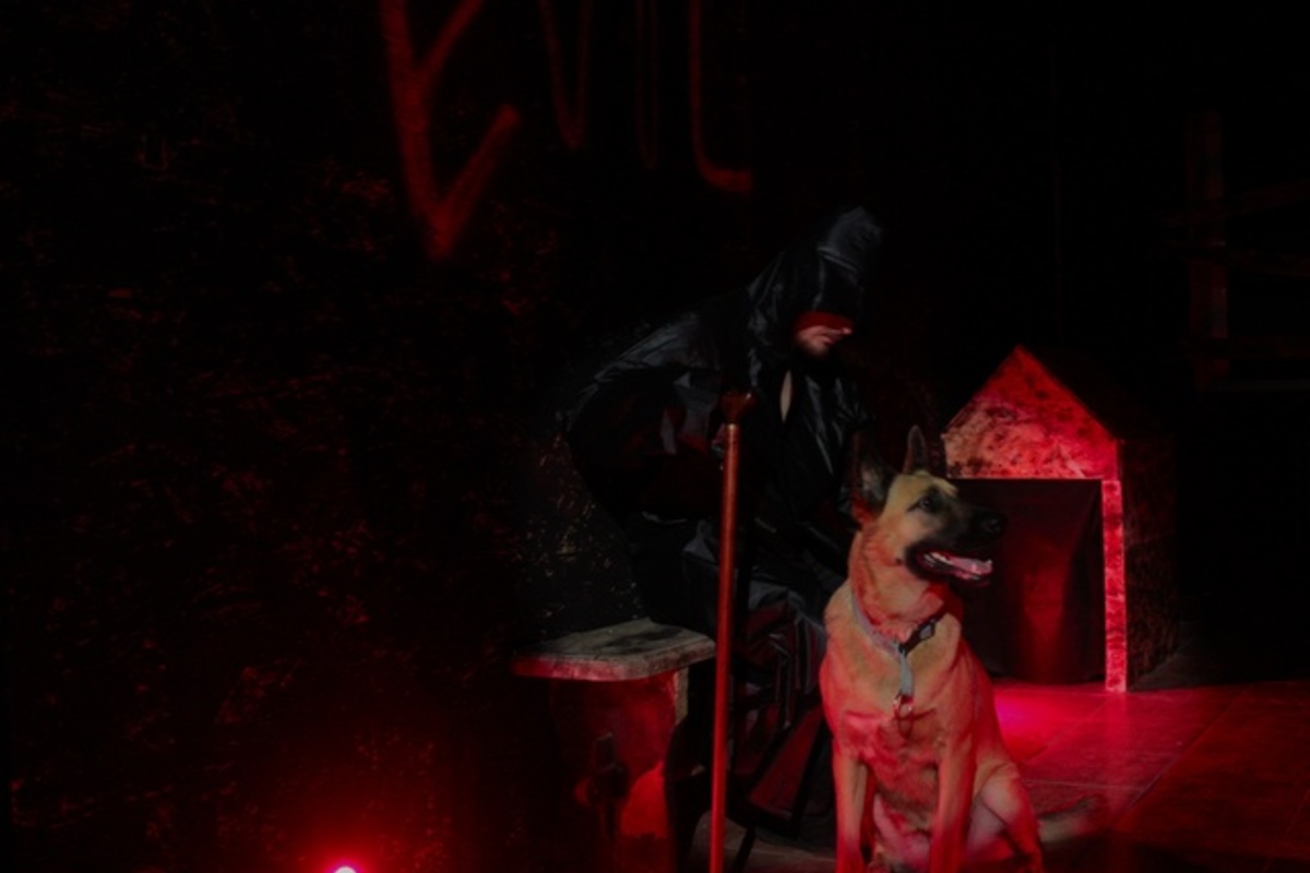 Фото квеста